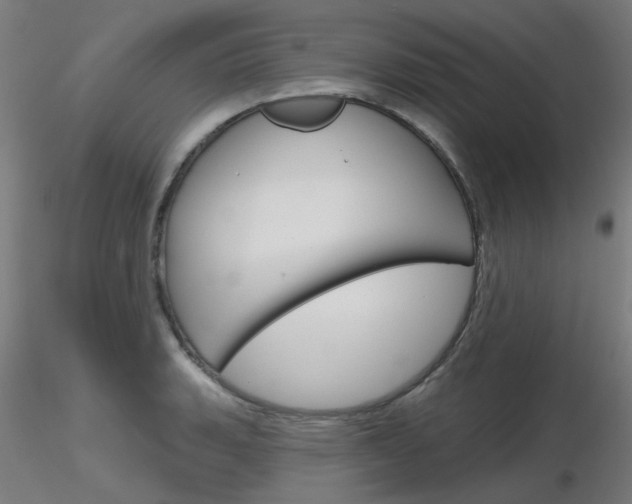X0000116851135200912220936