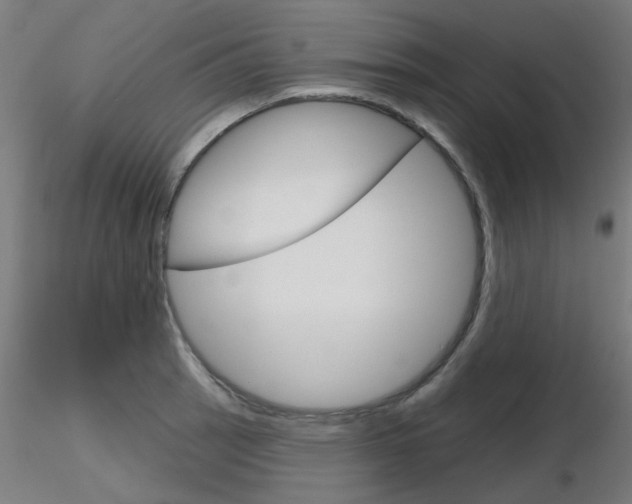 X0000116851137200912220936