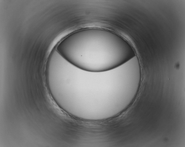 X0000116851138200912220936