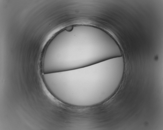 X0000116851139200912220936