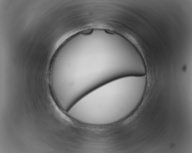 X0000116851141200912220936