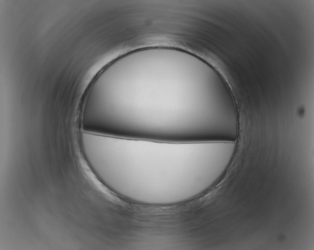 X0000116851142200912220936