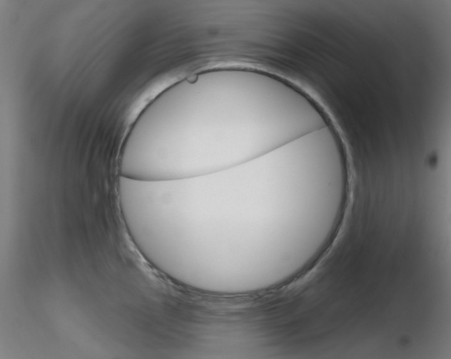 X0000116851145200912220936