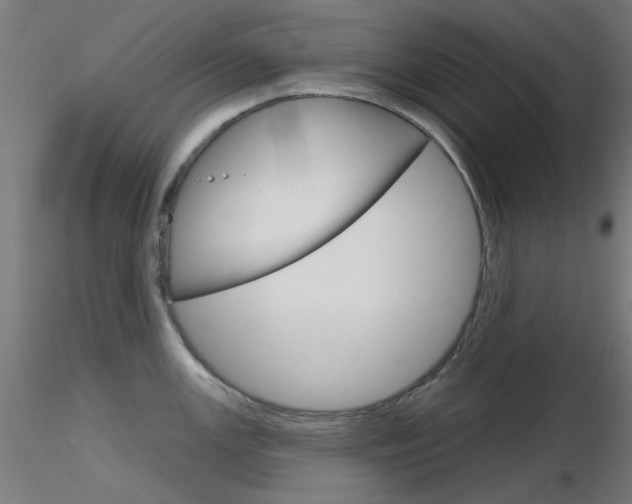 X0000116851147200912220936
