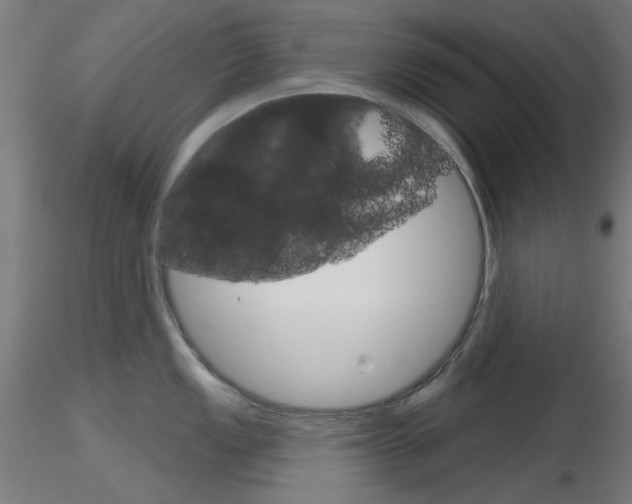X0000116851149200912220936