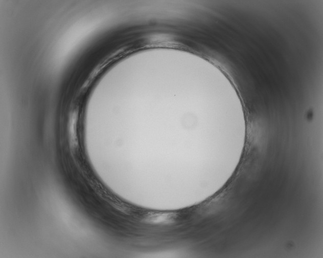X0000116851150200912220936