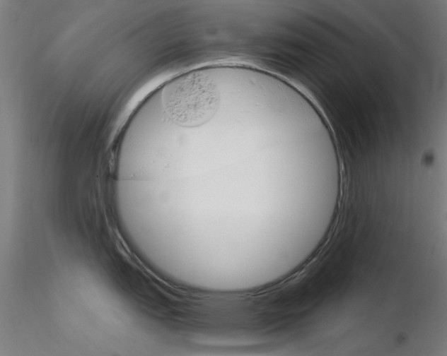 X0000116851151200912220936