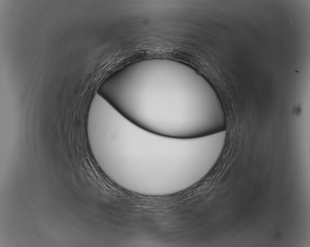 X0000116851153200912220936