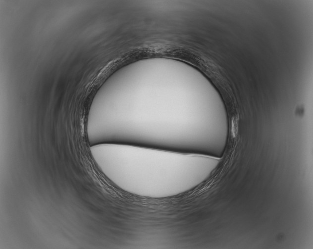X0000116851155200912220936