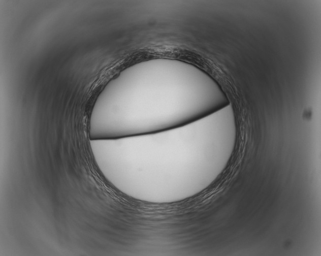 X0000116851156200912220936
