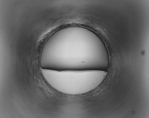 X0000116851159200912220936