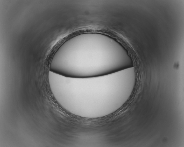 X0000116851160200912220936