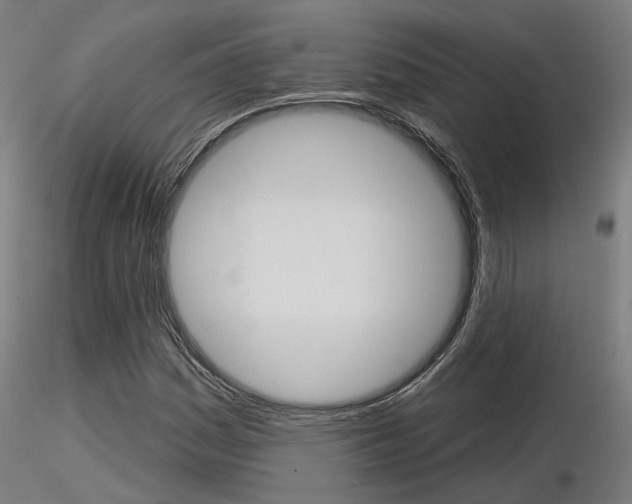 X0000116851161200912220936