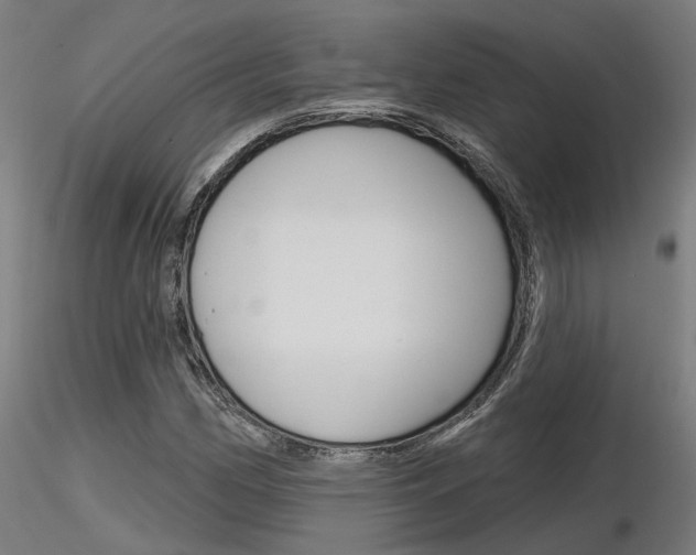 X0000116851162200912220936