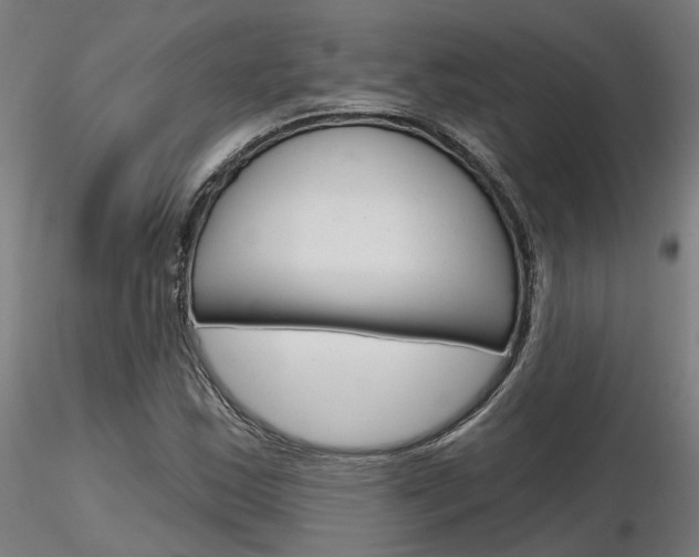 X0000116851163200912220936