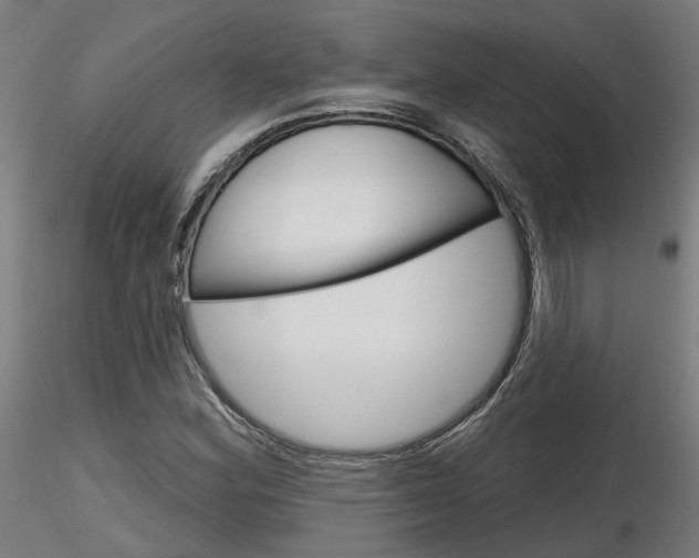 X0000116851164200912220936