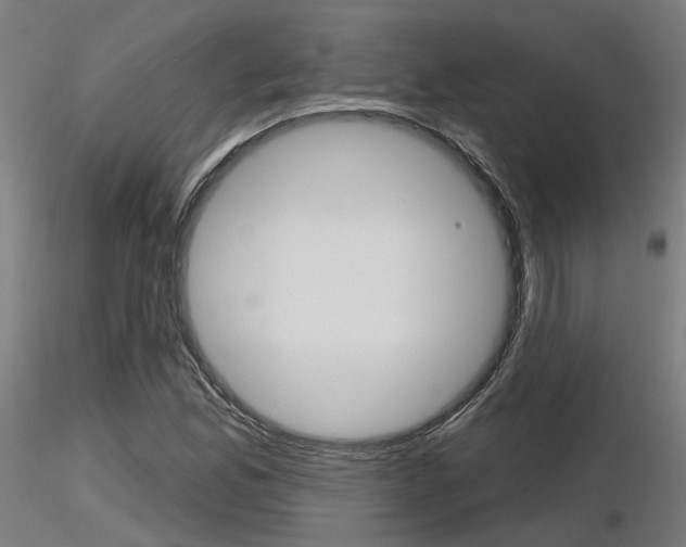 X0000116851165200912220936