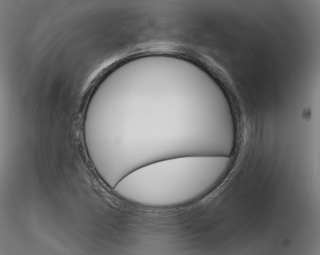 X0000116851166200912220936