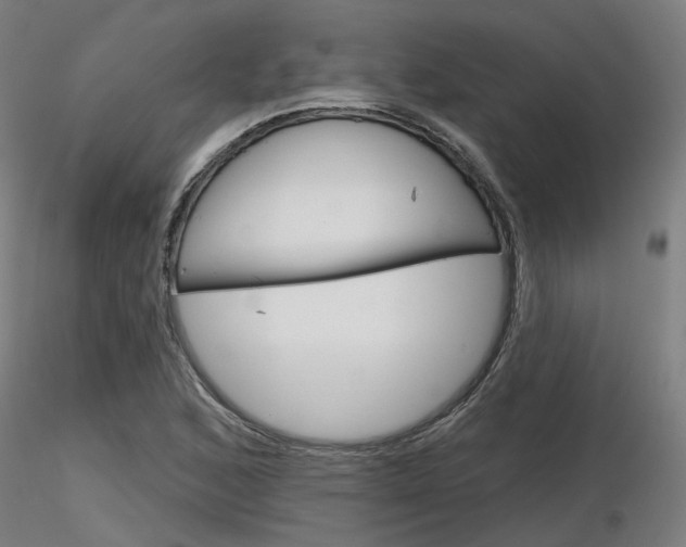 X0000116851168200912220935