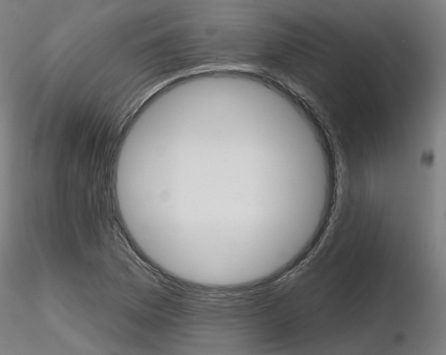 X0000116851169200912220935