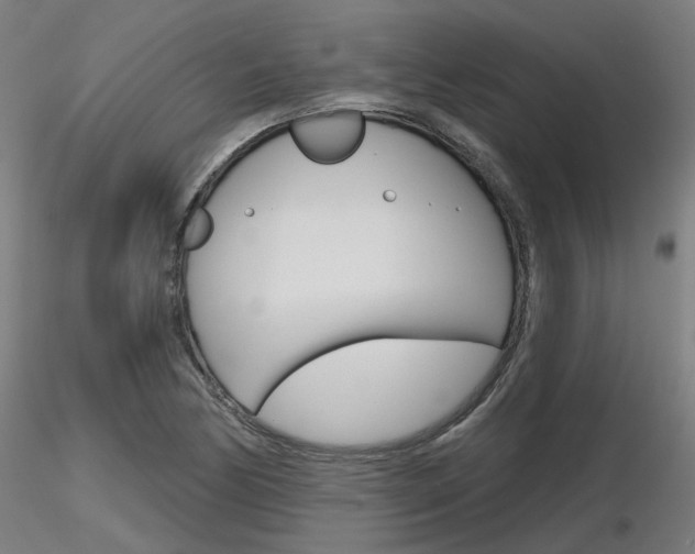 X0000116851170200912220935