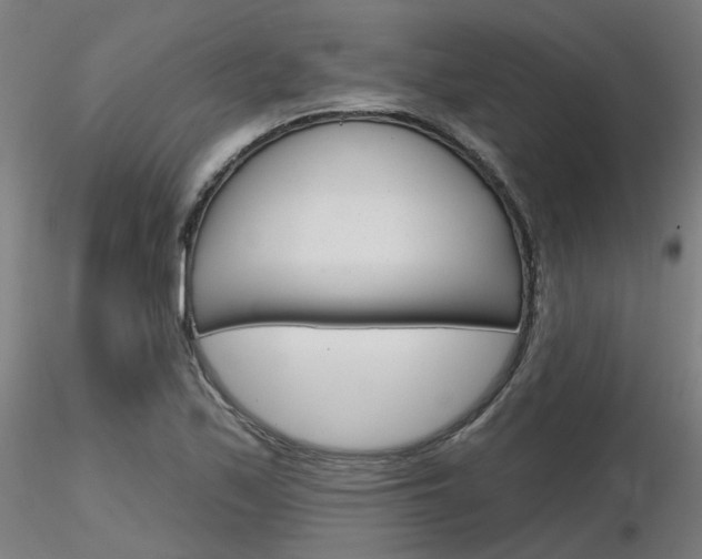X0000116851171200912220935