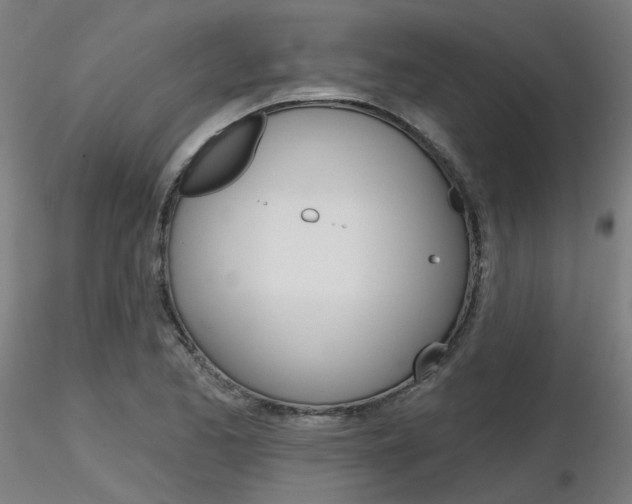 X0000116851173200912220935