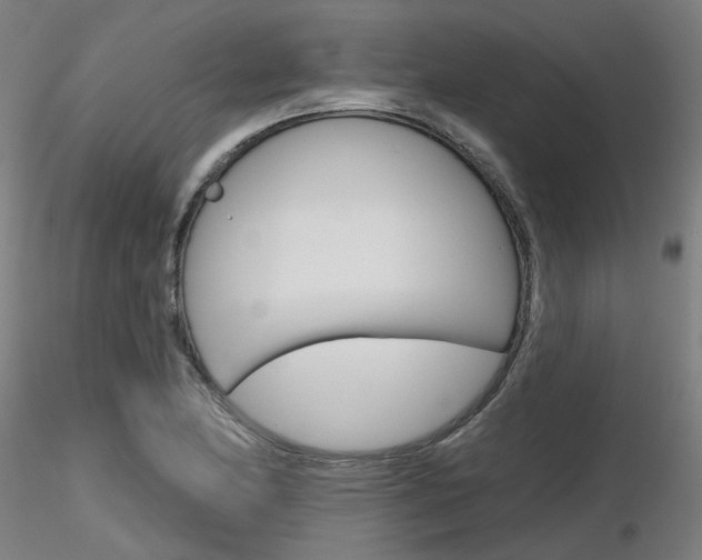 X0000116851174200912220935