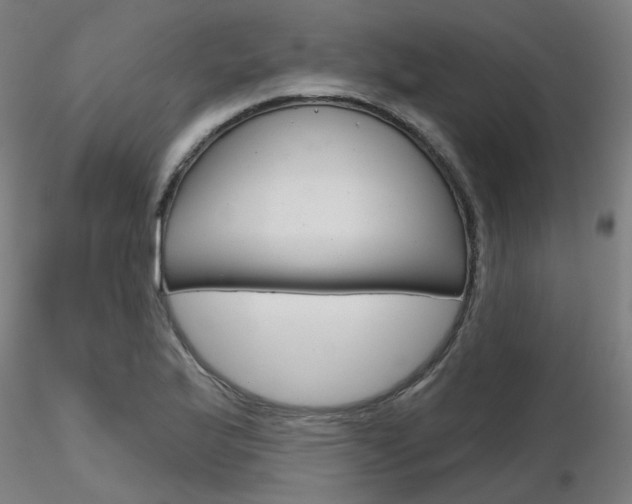 X0000116851175200912220935