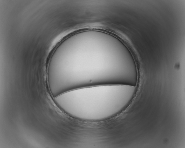 X0000116851176200912220935