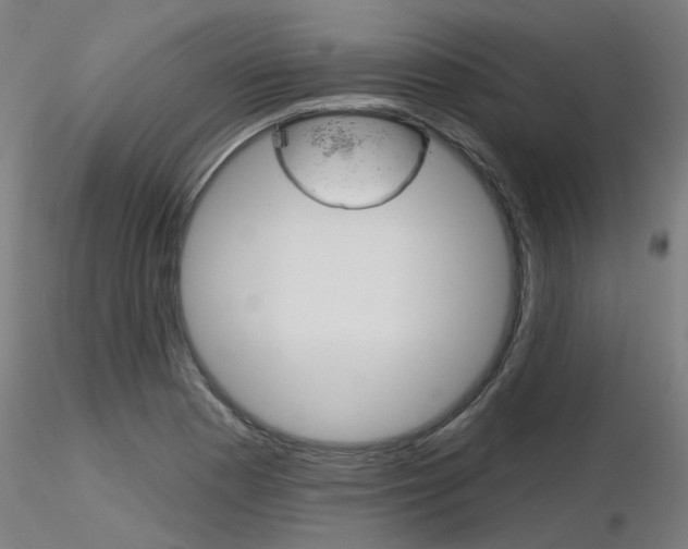 X0000116851177200912220935