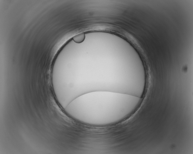X0000116851178200912220935