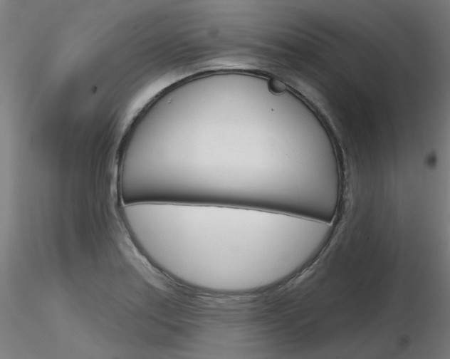 X0000116851179200912220935
