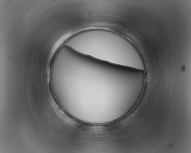 X0000116851180200912220935
