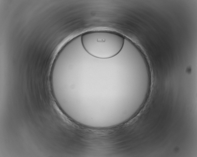 X0000116851181200912220935