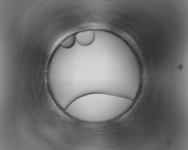 X0000116851182200912220935