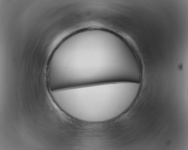 X0000116851183200912220935