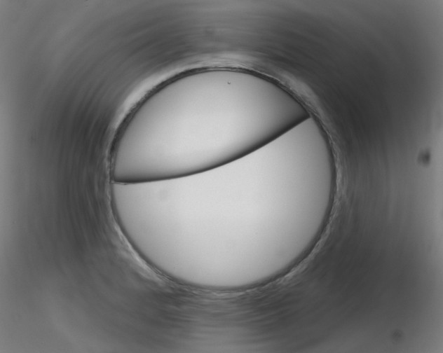 X0000116851184200912220935
