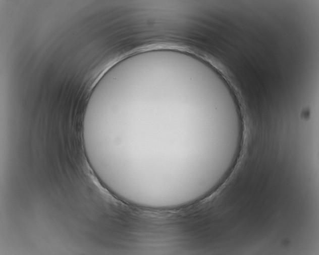 X0000116851185200912220935