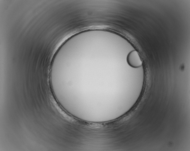 X0000116851186200912220935