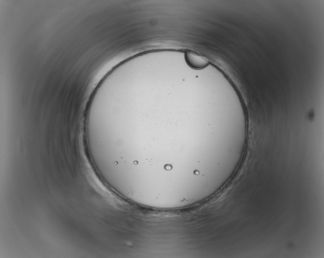 X0000116851187200912220935