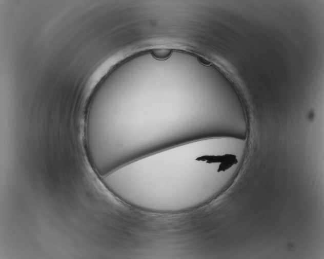 X0000116851188200912220935