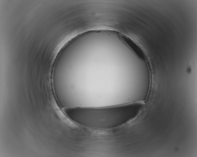 X0000116851189200912220935