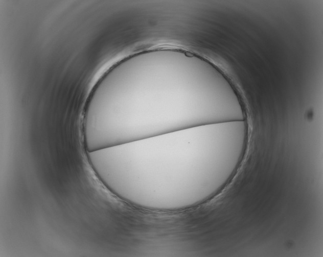 X0000116851190200912220935