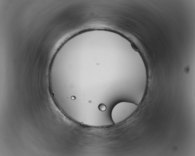 X0000116851191200912220935