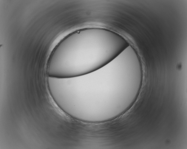 X0000116851192200912220935