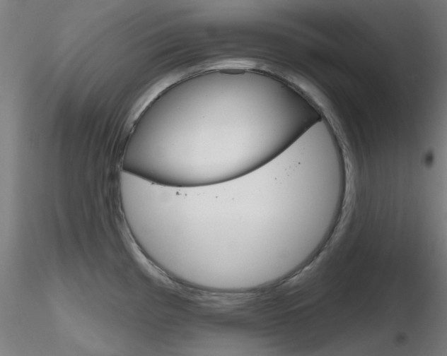 X0000116851193200912220935