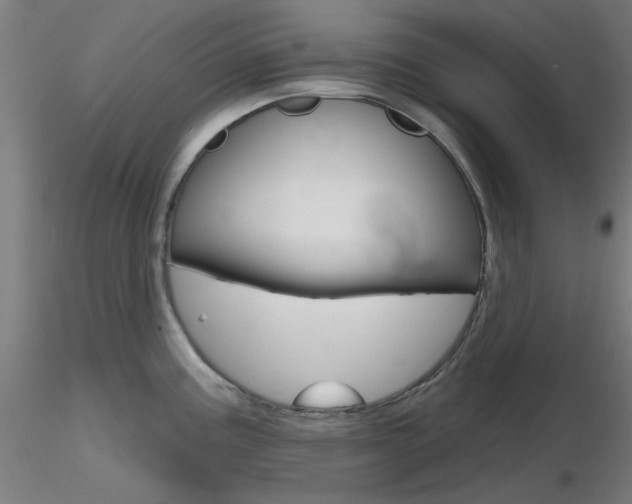 X0000116851195200912220935