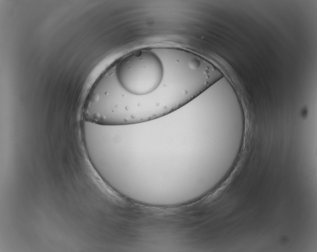X0000116851196200912220935