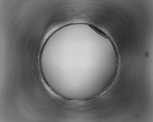 X0000116851197200912220935
